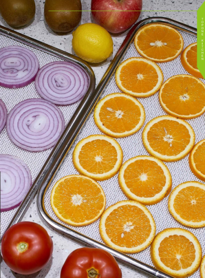 Food Dehydrator DBJ-88A (88 Trays/ Capacity 110KG) - Image